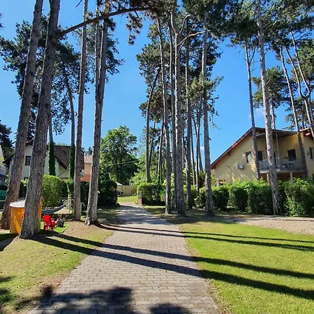 Near In Siofok-balaton 20002 Apartment *